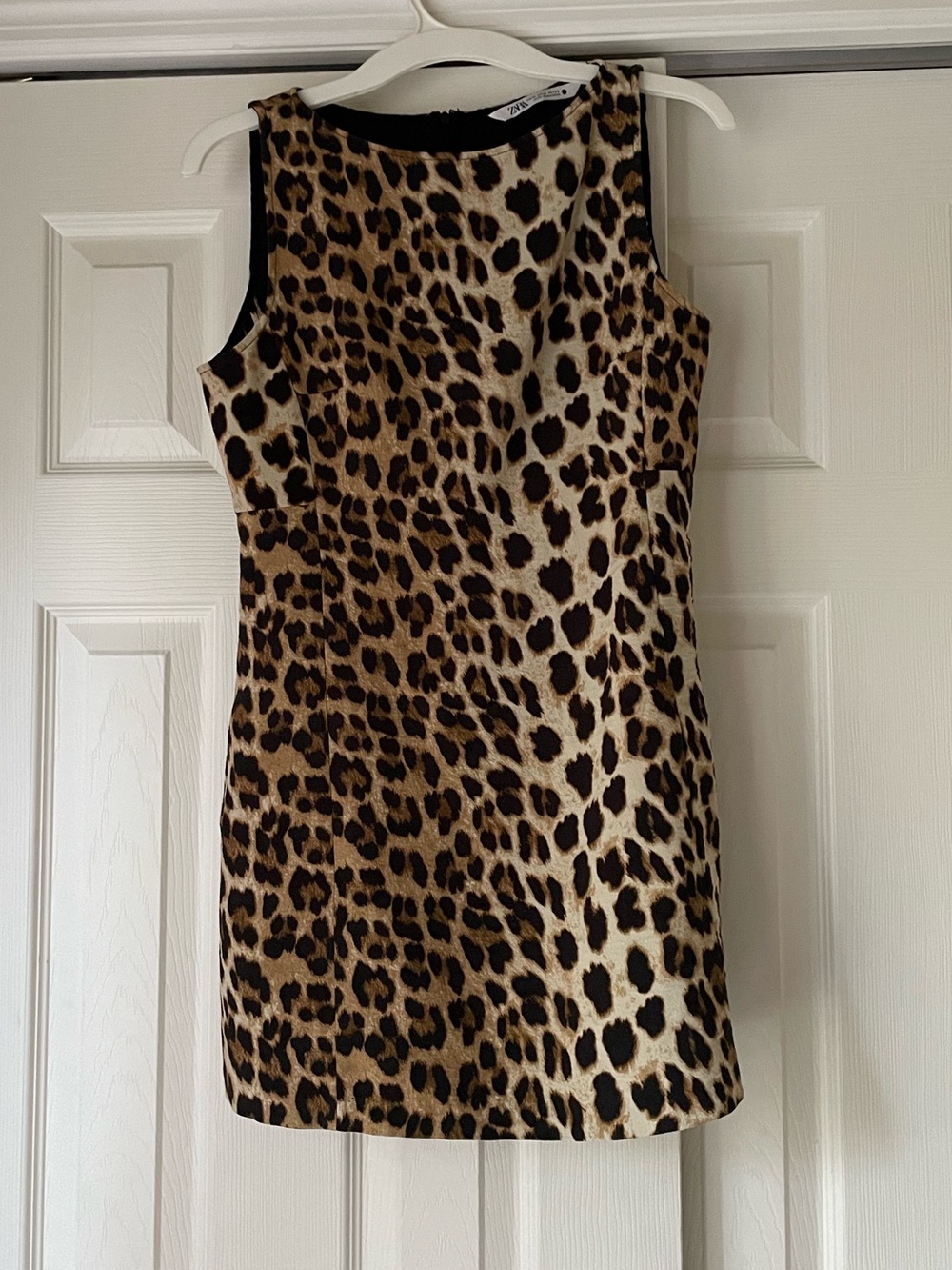 Zara Leopard Print Mini Dress